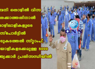 കമ്പനി തൊഴിൽ വിസ പുതക്കാത്തതിനാൽ തൊഴിലാളികളുടെ പാസ്പോർട്ടിൽ നാടുകടത്തൽ സ്റ്റാംപ്; മലയാളികളടക്കമുള്ള 5000 ഇന്ത്യക്കാര് പ്രതിസന്ധിയിൽ