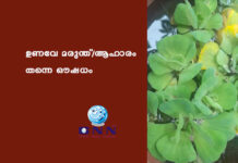 ഉണവേ മരുന്ത്/ആഹാരം തന്നെ ഔഷധം