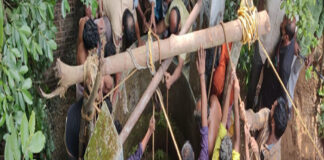 เดเตเดฒเตเดฒเดคเตเดคเต เดเดฟเดฃเตผ เดเดเดฟเดเตเดเต เด
เดชเดเดเด; เดจเดพเดฒเต เดคเตเดดเดฟเดฒเดพเดณเดฟเดเตพ เดเตเดเตเดเตเดเดฟ