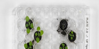 ചന്ദ്രനിലെ മണ്ണിൽ വിതച്ച വിത്തുകൾ മുളച്ചു