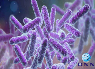 เดเตเดฑเตเดตเดคเตเดคเตเดฐเดฟเตฝ เดญเดเตเดทเตเดฏ เดตเดฟเดทเดฌเดพเดงเดฏเตเดเตเดเต เดเดพเดฐเดฃเด เดทเดฟเดเตเดฒเตเดฒ; เดเดพเดเตเดฐเดค เดชเดพเดฒเดฟเดเตเดเดฃเด