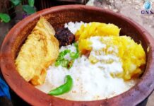 ‘തൈരിൽ ഉപ്പ് ചേർത്ത് കഴിക്കരുത്’!! തൈരിനോടൊപ്പം ഇവയെല്ലാം നിങ്ങൾ കഴിക്കുന്നെങ്കിൽ സൂക്ഷിക്കുക..