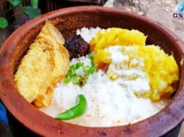 ‘തൈരിൽ ഉപ്പ് ചേർത്ത് കഴിക്കരുത്’!! തൈരിനോടൊപ്പം ഇവയെല്ലാം നിങ്ങൾ കഴിക്കുന്നെങ്കിൽ സൂക്ഷിക്കുക..
