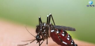 เดเตเดเตเดเดฟ เดจเดเดฐเดคเตเดคเดฟเตฝ เดกเตเดเตเดเดฟเดชเตเดชเดจเดฟ เดชเดเดฐเตเดจเตเดจเต. เดเดจเตเดจเดฒเต เดฎเดพเดคเตเดฐเด 93 เดฐเตเดเดฟเดเตพ