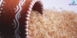 അരി ഉൾപ്പെടെ ഇന്ത്യയിൽ നിന്നുള്ള ഭക്ഷ്യ വസ്തുക്കൾക്ക് യൂറോപ്പിൽ നിയന്ത്രണം: മലയാളികളുടെ പ്രിയപ്പെട്ട കുരുമുളകും കറിവേപ്പിലയും പട്ടികയിൽ…