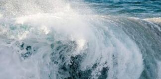 เดฏเตเดเดเดฏเดฟเดฒเตโ เดเดจเตเดจเต เดชเตเดเดฟเดเตเดเดพเดฑเตเดฑเดฟเดจเต เดธเดพเดงเตเดฏเดค