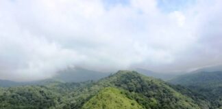 ബഫർ സോൺ സംബന്ധിച്ച് 2019ലെ ഉത്തരവ് തിരുത്തൽ മന്ത്രിസഭ ഇന്ന് പരിഗണിക്കും