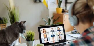 നെതർലാൻഡ് ‘വർക് ഫ്രം ഹോം’ നിയമപരമായ അവകാശമാക്കി മാറ്റുന്നു