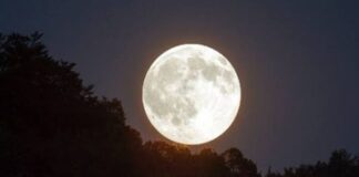 ബക്ക് മൂൺ ദൃശ്യമാകുന്നു