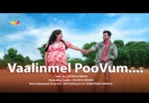 കൗതുകമായി അയർലണ്ട് മലയാളി ദമ്പതികളുടെ മെറ്റേണിറ്റി കവർ സോംഗ്