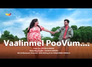 കൗതുകമായി അയർലണ്ട് മലയാളി ദമ്പതികളുടെ മെറ്റേണിറ്റി കവർ സോംഗ്