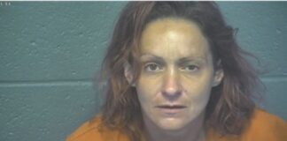 ആറ് മിനിട്ട് കുട്ടികളെ കാറില് തനിച്ചാക്കി പുറത്തുപോയ മാതാവ് അറസ്റ്റിൽ