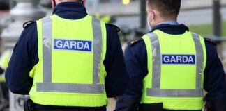 കാർ മോഷ്ടിച്ചതിന് ശേഷം കുഞ്ഞിനെ ഡബ്ലിൻ റോഡരികിൽ ഉപേക്ഷിച്ചു