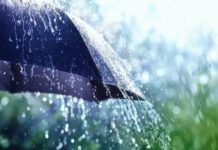 മഴ മുന്നറിയിപ്പ്; അഞ്ച് ജില്ലകളിൽ യെല്ലോ അലേർട്ട്