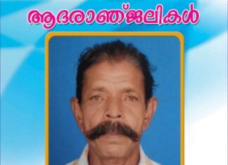 അയർലണ്ട് മലയാളി സാന്റി മനോജിന്റെ പിതാവ് നിര്യാതനായി.