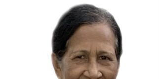 เดฒเดฟเดฒเตเดฒเดฟ เดตเตผเดเตเดธเต เดนเตเดธเตเดฑเตเดฑเดฃเดฟเตฝ เดจเดฟเดฐเตเดฏเดพเดคเดฏเดพเดฏเดฟ, เดชเตเดคเตเดฆเตผเดถเดจเด เดตเตเดณเตเดณเดฟเดฏเดพเดดเตเด, เดธเดเดธเตเดเดพเดฐเด เดถเดจเดฟเดฏเดพเดดเตเด