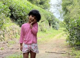 ഡബ്ലിനിൽ പനി ബാധിച്ച് മലയാളി പെൺകുട്ടി മരിച്ചു