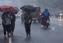 സംസ്ഥാനത്ത് ഇന്നും ഒറ്റപ്പെട്ട ശക്തമായ മഴ തുടരാൻ സാധ്യത; നാല് ജില്ലകളിൽ യെല്ലോ അലർട്ട്