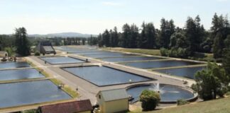 ജലശുദ്ധീകരണ പ്ലാന്റുകളിലെ ഗുരുതര വീഴ്ചകൾ 900,000 ആളുകളെ അപകടത്തിലാക്കുന്നുവെന്ന് EPA റിപ്പോർട്ട്