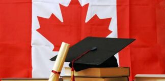 เดเดพเดจเดกเดฏเดฟเตฝ เดเดจเตเดคเตเดฏเตป เดตเดฟเดฆเตเดฏเดพเตผเดคเตเดฅเดฟเดเตพเดเตเดเต เดฒเดญเดฟเดเตเดเตเดจเตเดจ 5 เดชเตเดคเดฟเดฏ เดเดจเตเดเตเดฒเตเดฏเดเตเดเตพ