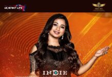 ആഘോഷത്തിമിർപ്പിൽ ഡബ്ലിൻ : ശ്രേയ ഘോഷാൽ LIVE CONCERTന് ഇനി മണിക്കൂറുകൾ മാത്രം