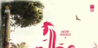 പൂവൻ ഇരുപതിന്