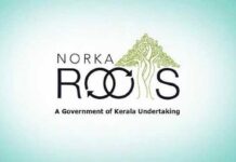 നോർക്ക പ്രവാസി കാർഡുകൾക്ക് അപേക്ഷിക്കാം; ഒരു മാസക്കാല രജിസ്ട്രേഷൻ ക്യാമ്പയിന് തുടക്കമായി