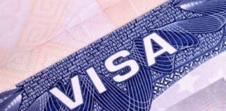 പ്രവാസികള്ക്ക് കുടുംബാംഗങ്ങളെയും സുഹൃത്തുക്കളെയും കൊണ്ടുവരുന്നതിന് 90 ദിവസം കാലാവധിയുള്ള വിസകള് അനുവദിച്ചു തുടങ്ങി