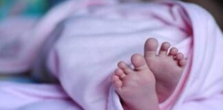 เดตเดจเดคเตเดคเดฟเตฝ เดชเตเดฐเดธเดตเดฟเดเตเด เดเดฆเดฟเดตเดพเดธเดฟ เดฏเตเดตเดคเดฟเดฏเตเดเต เดเตเดเตเดเต เดฎเดฐเดฟเดเตเดเต