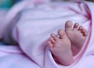 വനത്തിൽ പ്രസവിച്ച ആദിവാസി യുവതിയുടെ കുഞ്ഞ് മരിച്ചു