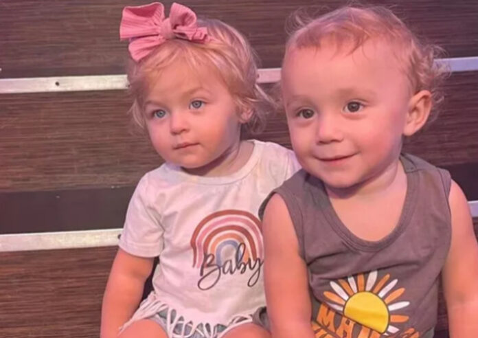 4eca791a-a5bb-4f78-9c8e-37cbbe427d9e-full36x25_FireShotCapture135FundraiserbyDawnLemons_HelptheCallazzoswww.gofundme.com