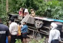 ശബരിമല തീർഥാടകരുടെ ബസ് കൊക്കയിലേക്കു മറിഞ്ഞു; ബസിൽ 9 കുട്ടികൾ ഉൾപ്പെടെ 64 പേർ