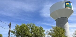 ഫ്രണ്ട്സ് ഓഫ് സണ്ണിവെയ്ൽ പബ്ലിക് ലൈബ്രറി രണ്ടാം വാർഷീകം ആകർഷകമായി -പി പി ചെറിയാൻ