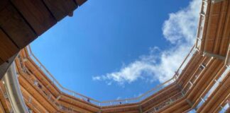 ‘Beyond the Trees’; เดเดฑเตเดฑเดตเตเด เดเดฏเดฐเดคเตเดคเดฟเตฝ Co Wicklowเดฏเตเดเต เดเดพเดดเตเดเดเตพ เดเดธเตเดตเดฆเดฟเดเตเดเดพเด