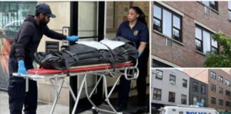 ബ്രൂക്ലിൻ അപ്പാർട്ട്മെന്റിൽ വനിതാ പോലീസ് ഓഫീസർ കുത്തേറ്റു മരിച്ച നിലയിൽ -പി പി ചെറിയാൻ