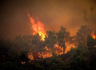 ഗ്രീസിലെ Corfu വിൽ കാട്ടുത്തീ പടരുന്നു: വിനോദസഞ്ചാരികൾ ഉൾപ്പെടെ 2500-ഓളം പേരെ ഒഴിപ്പിച്ചു