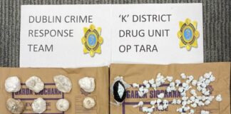 ഡബ്ലിനിൽ 80,000 യൂറോ വിലമതിക്കുന്ന മയക്കുമരുന്ന് പിടിച്ചെടുത്തു