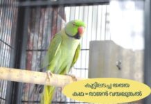 കൂട്ടിലടച്ച തത്ത