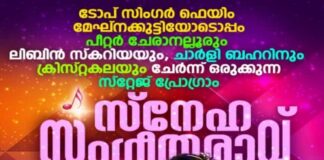 ഫ്ളവേഴ്സ് ടിവി ടോപ് സിംഗർ ഫെയിം മേഘ്നകുട്ടി അയർലണ്ടിലെത്തുന്നു