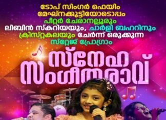 ഫ്ളവേഴ്സ് ടിവി ടോപ് സിംഗർ ഫെയിം മേഘ്നകുട്ടി അയർലണ്ടിലെത്തുന്നു
