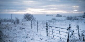 രാത്രി താപനില -5 ഡിഗ്രി വരെ താഴും; അയർലണ്ടിൽ നാളെ വരെ ഐസ് മുന്നറിയിപ്പ്