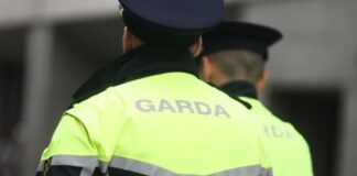 കഴിഞ്ഞ നാല് വർഷത്തിനിടെ മെഡിക്കൽ കാരണങ്ങളാൽ ജോലി വിട്ടത് 60 ഓളം Gardaí