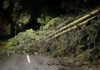 നാശം വിതച്ച് ഇഷ കൊടുങ്കാടറ്റ്: 235,000-ലധികം ഇടങ്ങളിൽ വൈദ്യുതിയില്ല