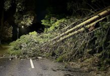 നാശം വിതച്ച് ഇഷ കൊടുങ്കാടറ്റ്: 235,000-ലധികം ഇടങ്ങളിൽ വൈദ്യുതിയില്ല