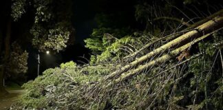 നാശം വിതച്ച് ഇഷ കൊടുങ്കാടറ്റ്: 235,000-ലധികം ഇടങ്ങളിൽ വൈദ്യുതിയില്ല