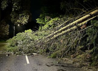 നാശം വിതച്ച് ഇഷ കൊടുങ്കാടറ്റ്: 235,000-ലധികം ഇടങ്ങളിൽ വൈദ്യുതിയില്ല