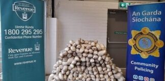 കോർക്കിൽ 32.8 മില്യൺ യൂറോ വിലമതിക്കുന്ന മയക്കുമരുന്നും തോക്കുകളും പിടിച്ചെടുത്തു