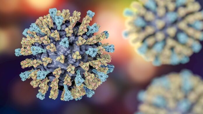 _110287993_f0172495-measles_virus_illustration-spl