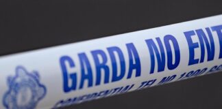 വാട്ടർഫോർഡിൽ 6 വയസ്സുകാരനെ കാറിനുള്ളിൽ മരിച്ച നിലയിൽ കണ്ടെത്തി