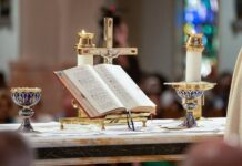 മാർച്ച് മാസത്തിലെ മലയാളം മാസ്സ്( Roman) Dublin 15ൽ Church of Mary Mother of Hope പള്ളിയിൽ 24ന്